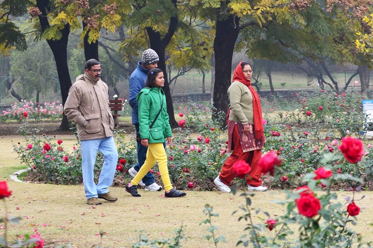 Zakir Hussain Rose Garden in Chandigarh, India